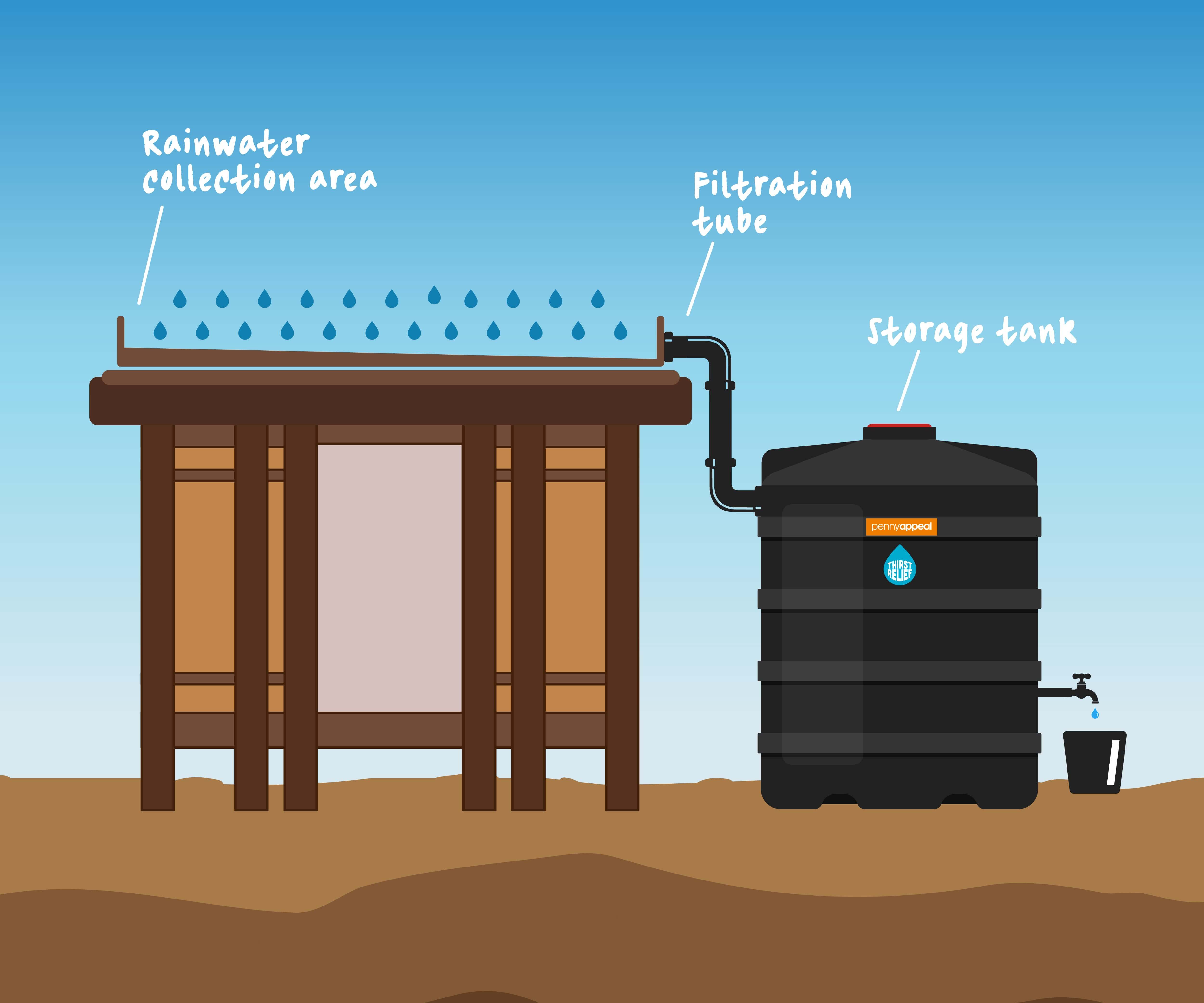 rainwater-harvesting-at-home-simple-yet-effective-methods