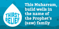 This Muharram, build a well in the name of the Prophet's (saw) family