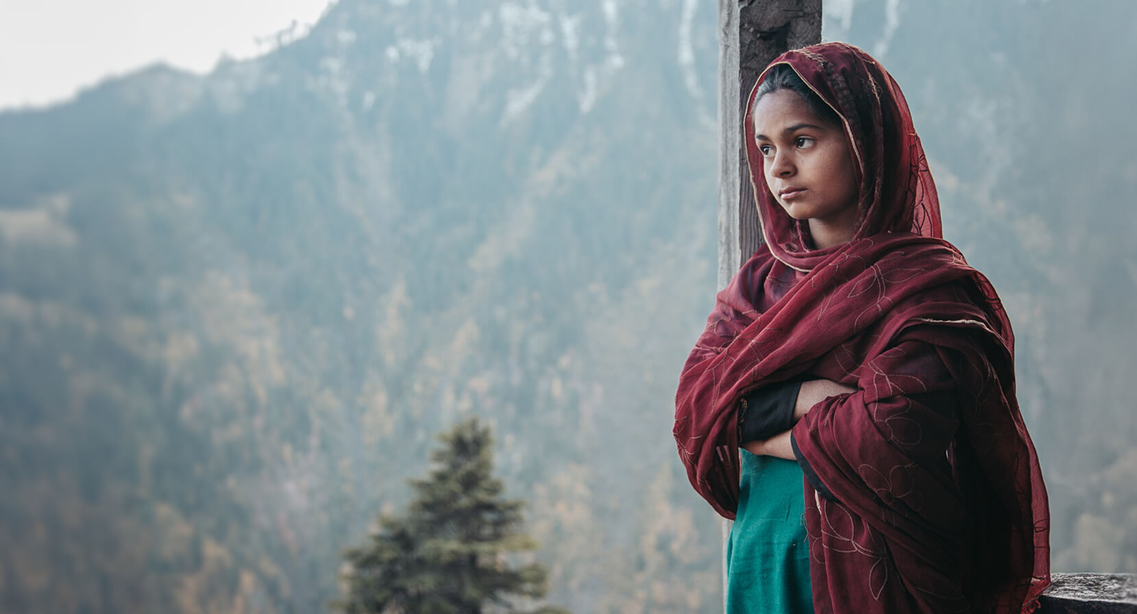 annual-feedback-banner